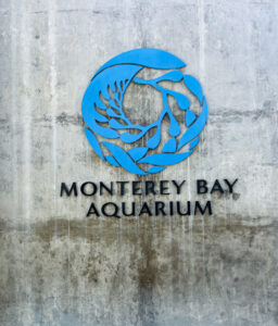 Monterey Bay Aquarium