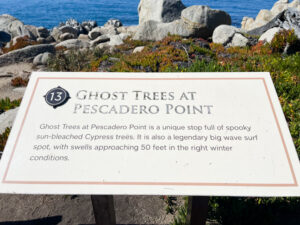Ghost Trees