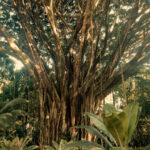 Photo Nov 06 2025, 8 59 27 AM