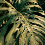 Photo Nov 06 2025, 8 59 55 AM