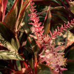 Photo Nov 06 2025, 9 00 47 AM