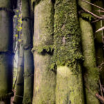 Photo Nov 06 2025, 9 10 12 AM