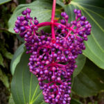 Photo Nov 06 2025, 9 12 04 AM