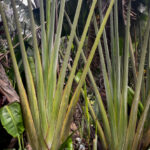 Photo Nov 06 2025, 9 15 55 AM