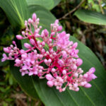 Photo Nov 06 2025, 9 30 55 AM