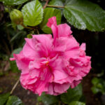 Photo Nov 06 2025, 9 32 15 AM