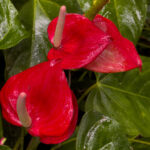 Photo Nov 06 2025, 9 37 54 AM